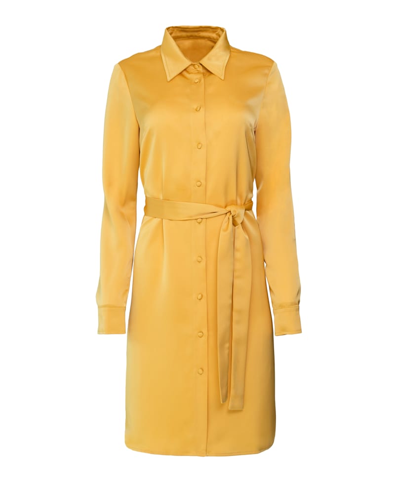 Front of a size 4X Belted Blouse Dress in Yellow by Hilary MacMillan. | dia_product_style_image_id:281981